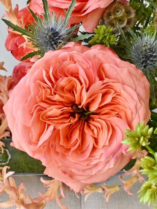 Elegance Symphony