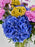 Travel Bloom