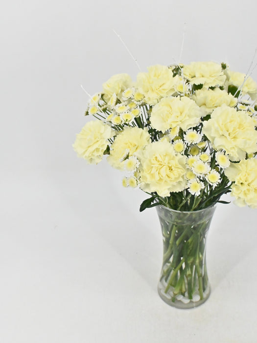 Soft Yellow