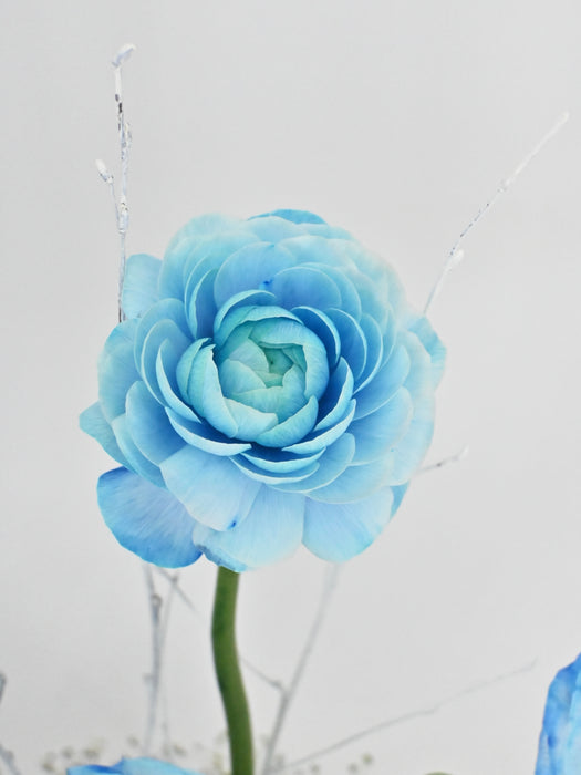Blue Diamond