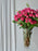 Velvet Petal Symphony