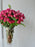 Velvet Petal Symphony