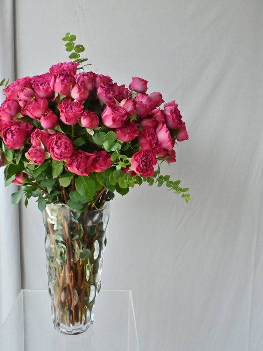 Velvet Petal Symphony