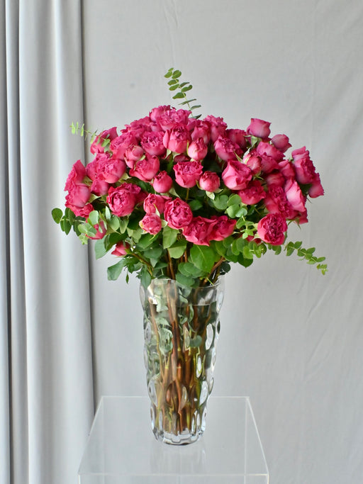 Velvet Petal Symphony