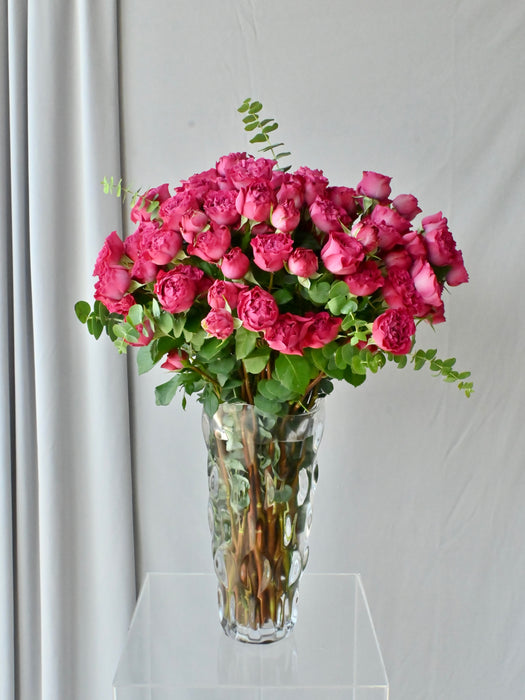 Velvet Petal Symphony