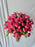 Velvet Petal Symphony