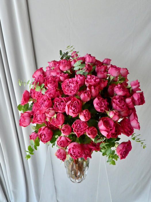 Velvet Petal Symphony