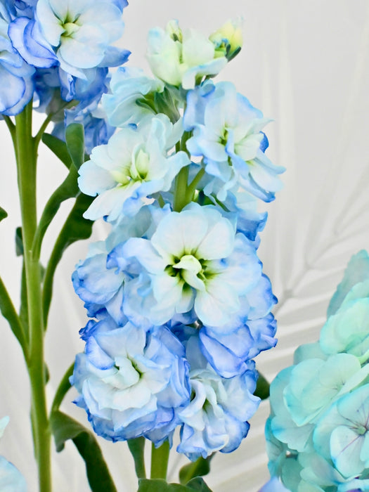 Blue George