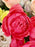 Baby Rose Bouquet