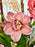 Aazur Money Garden