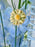 Whispering Blue Garden