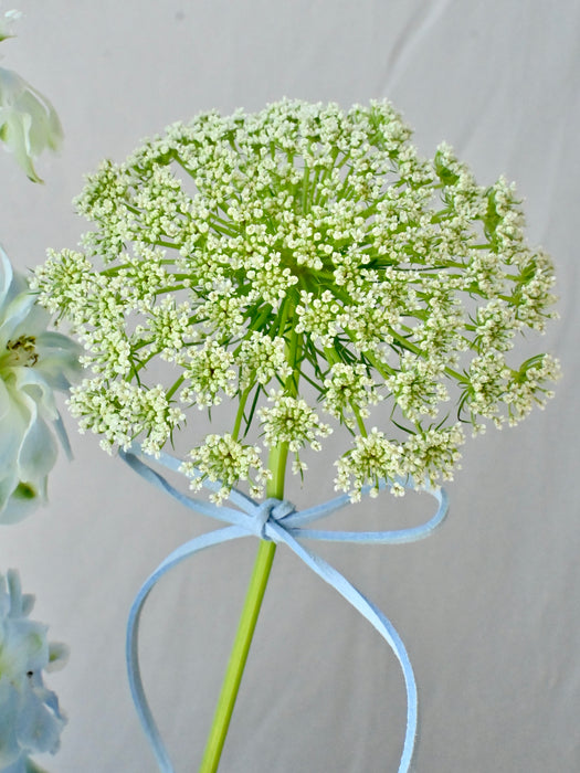 Whispering Blue Garden