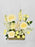 Cream Garden