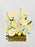 Cream Garden