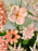 Blushing Flowery Garden