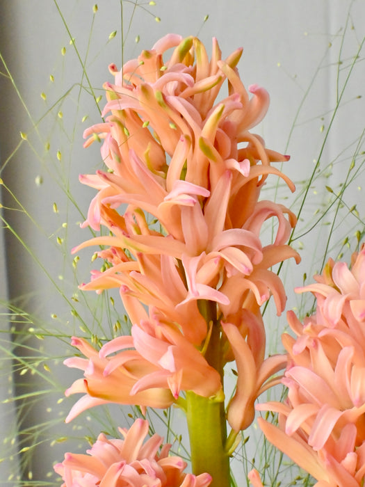 Blushing Flowery Garden