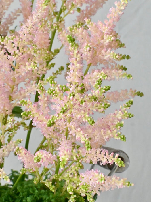 Blushing Flowery Garden