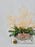 Preserved Asparagus