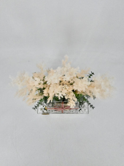 Preserved Asparagus