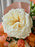 Peach Blossom Reverie