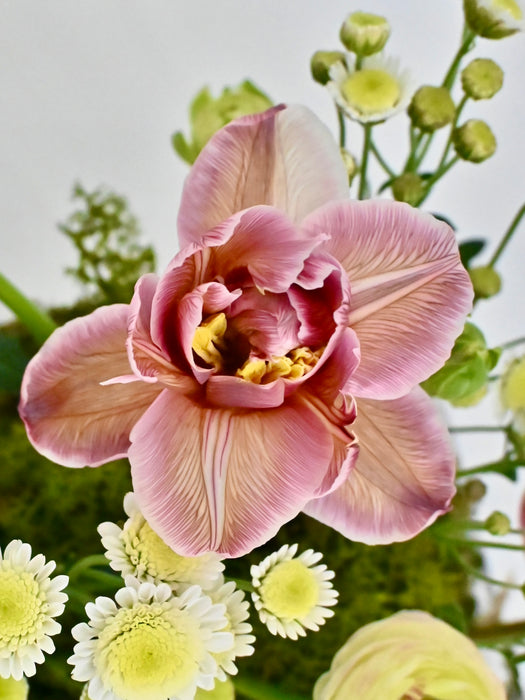 Happy Home Garden