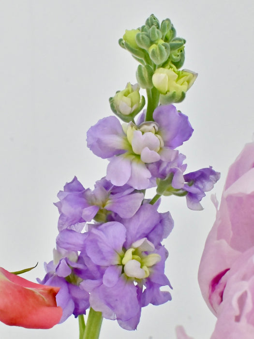 Berry Berndhardt