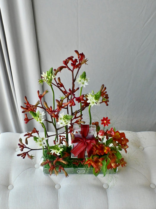 Scarlet Money Garden