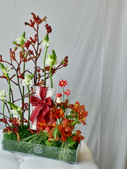 Scarlet Money Garden