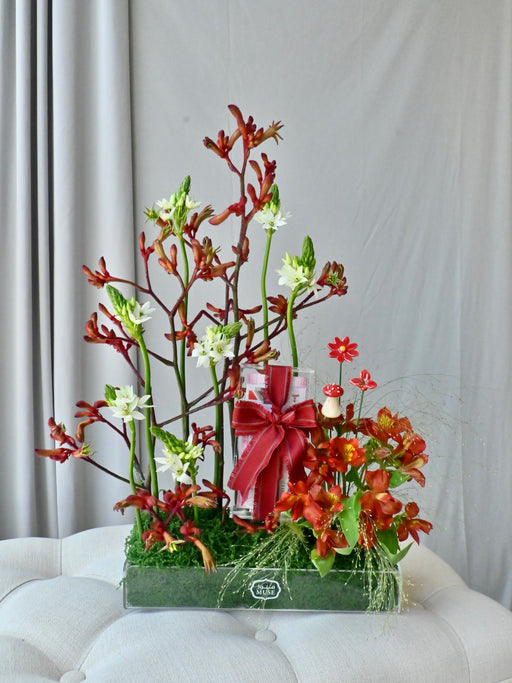 Scarlet Money Garden