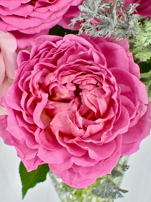 Cerise