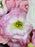 Soft Pink Bouquet