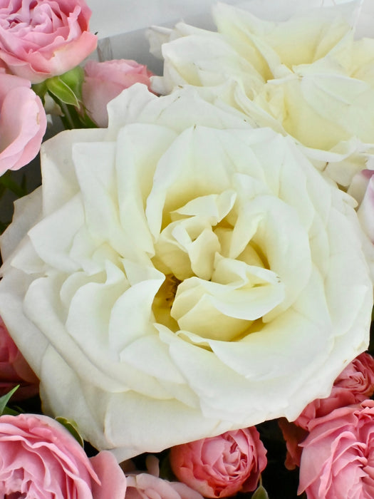 Soft Pink Bouquet
