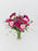 Celosia Garden