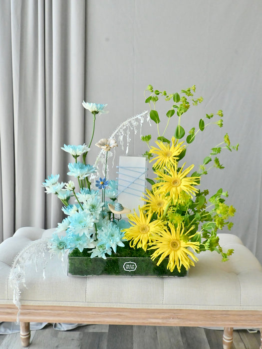 Blue Sunny Money Garden