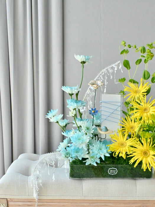 Blue Sunny Money Garden