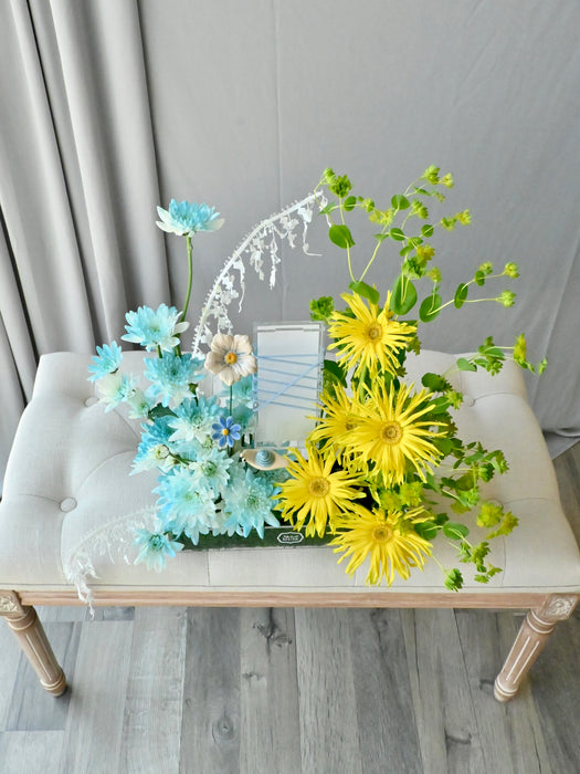 Blue Sunny Money Garden