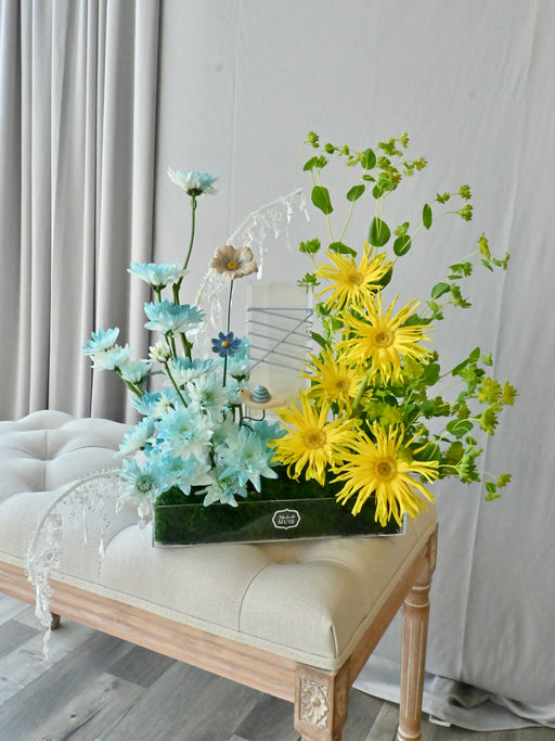 Blue Sunny Money Garden