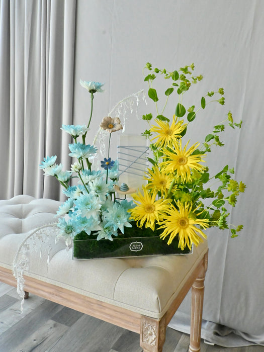 Blue Sunny Money Garden