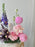 Lavender Blush Elegance Money Gift