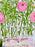 Rani Pink Money Garden