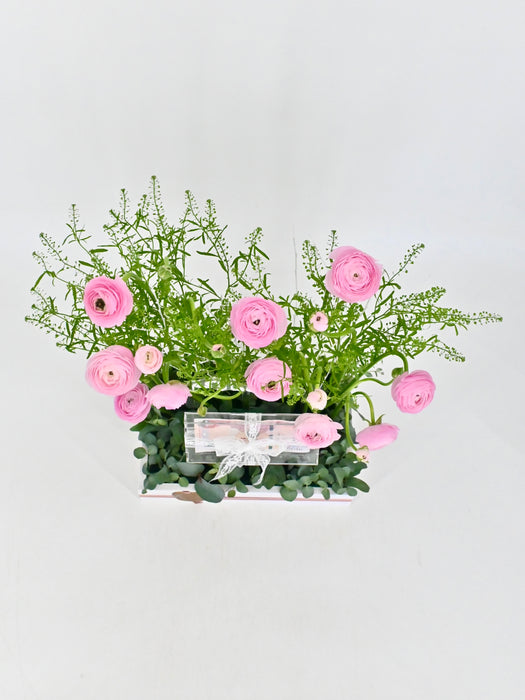 Rani Pink Money Garden