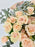 Peaches & Cream