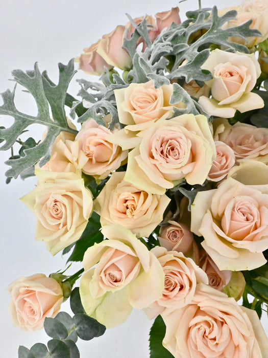 Peaches & Cream