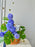 Royal Botanical Basket Money Gift