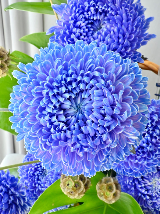 Royal Botanical Basket Money Gift