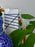 Royal Botanical Basket Money Gift