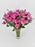 Cerise