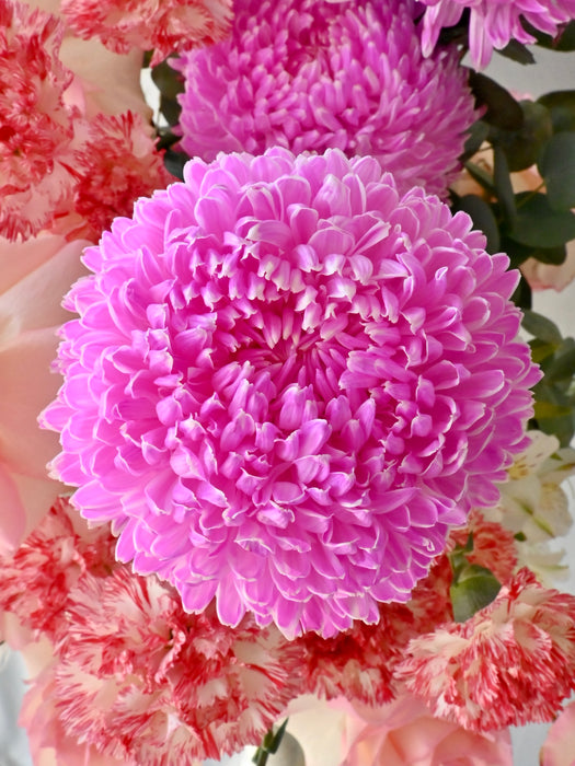 Pink Petals Vintage Serenity