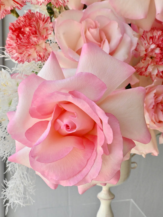 Pink Petals Vintage Serenity