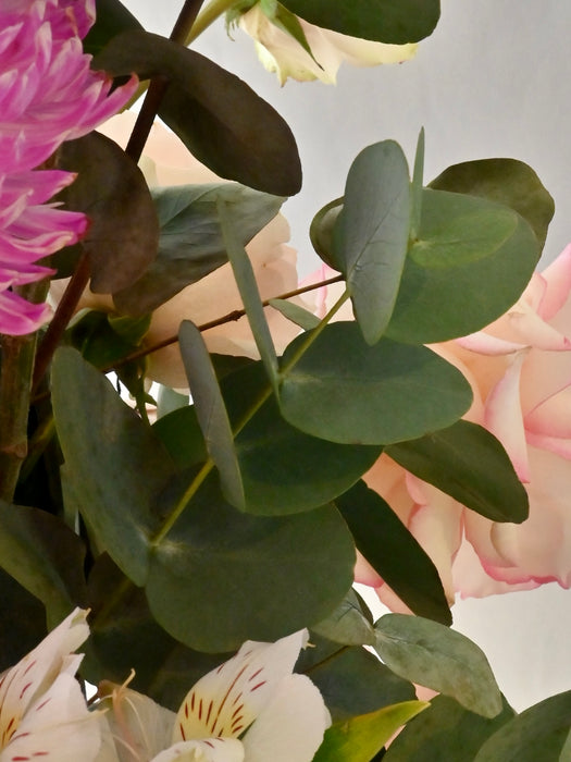 Pink Petals Vintage Serenity